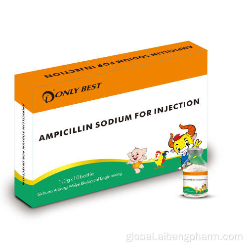 China Ampicillin sodium for injection 0.5g Supplier